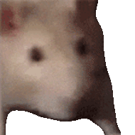 ratJAM